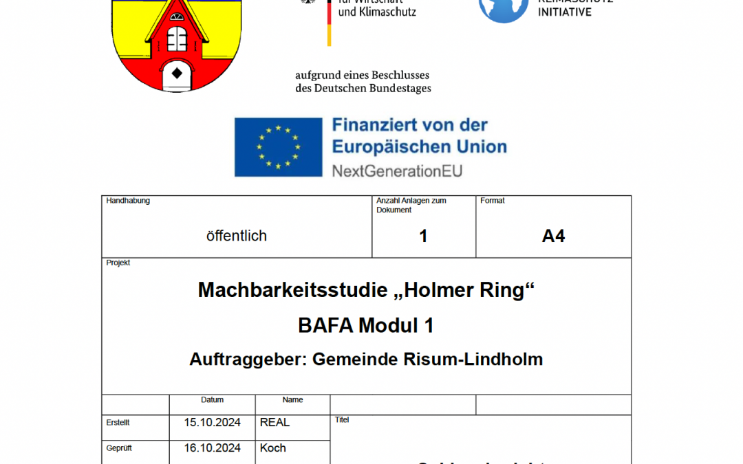 Machbarkeitsstudie Holmer Ring